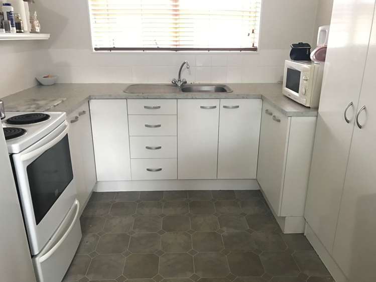 8a Galbraith Street Springfield_1