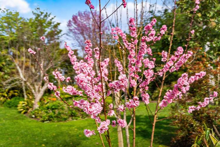 145 Jones Road Omaha_28