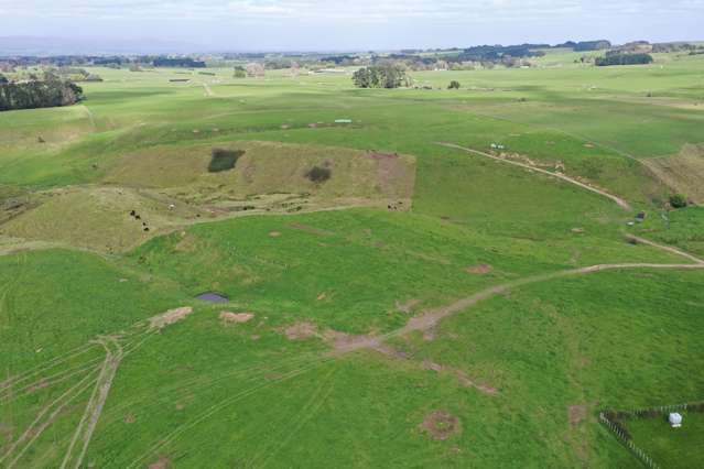 Spur Road Ashhurst_2