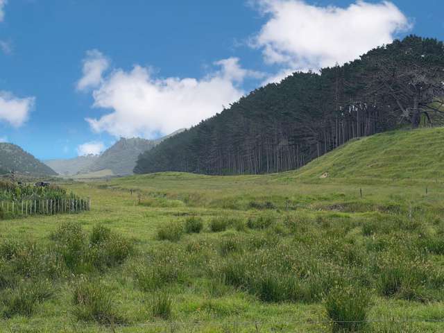 17 Kai Iwi Lakes Road Dargaville_4