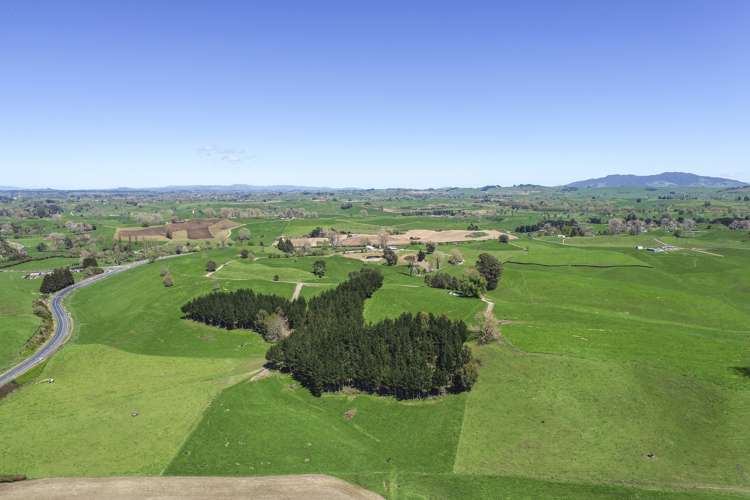 457 State Highway 5 Tapapa_6