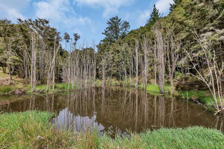 Pipiwai Road Purua_33