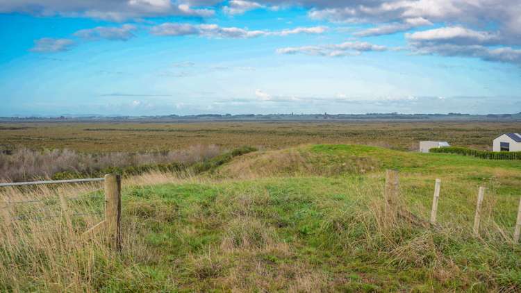 724c Island Block Road Te Kauwhata_9