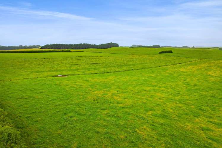 41a Ball Road Kakaramea_3