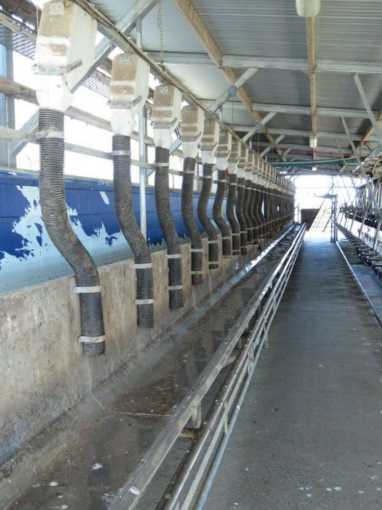 110 Donehue Road Clandeboye_6