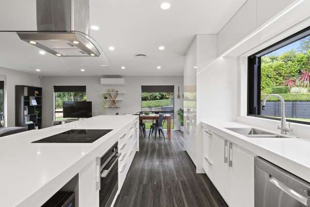 3 Alexander Court Pukekohe_1