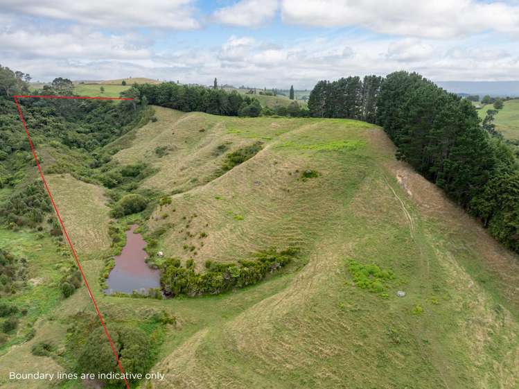 Taotaoroa Road Matamata_7