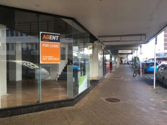 Shop 8, 55 Queens Drive Hutt Central_3