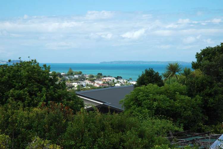 103 Matipo Road Mairangi Bay_24
