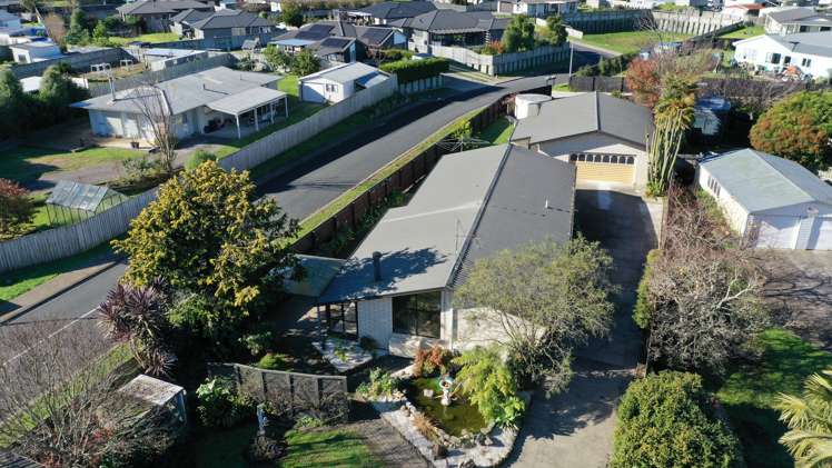 20 Arawa Road_1