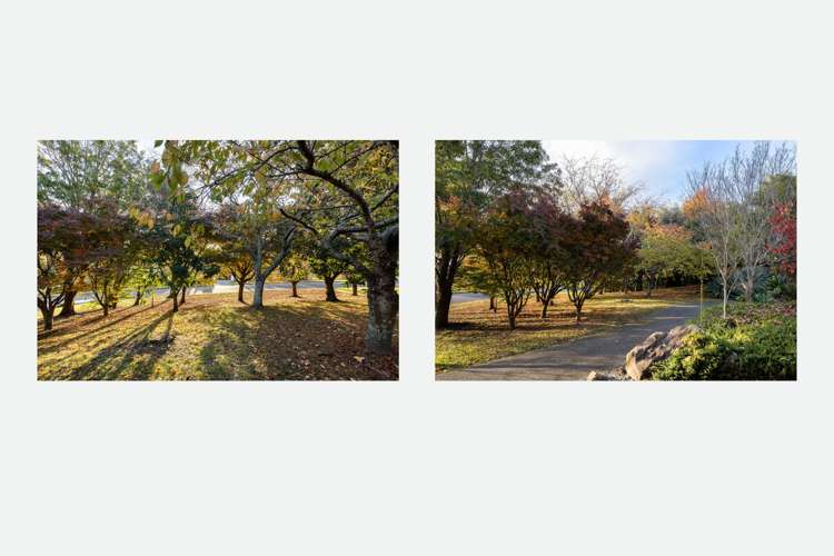 72 Westridge Drive Tauriko_13