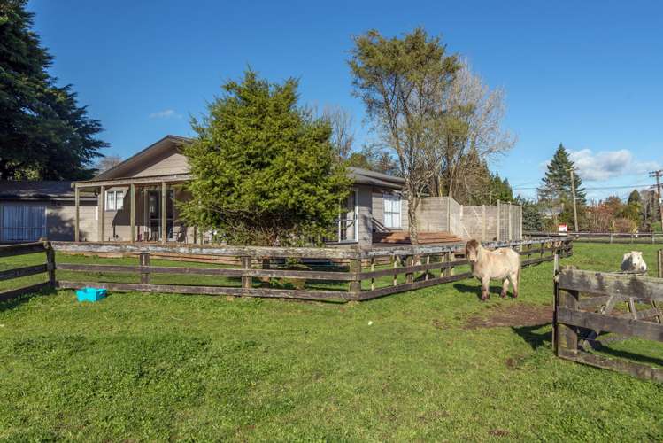 97 Tarena Street Mamaku_16