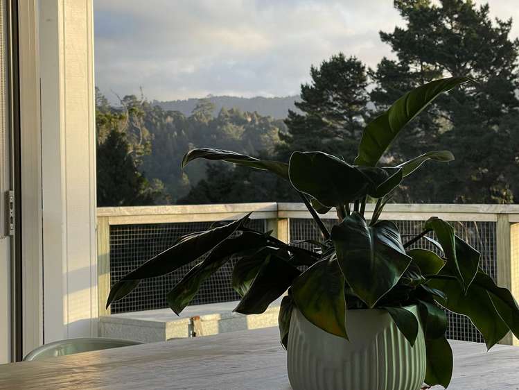 48 Christian Road Swanson_5