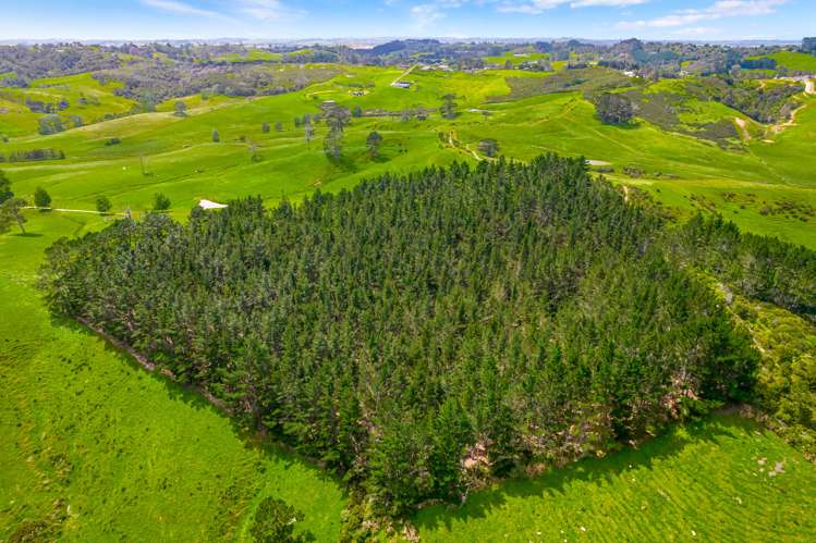 515 Kahikatea Flat Road Waitoki_25