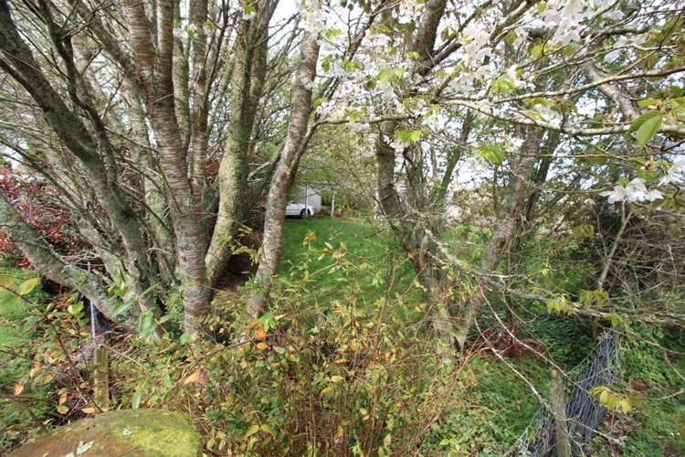 3 Princess Beatrix Avenue Tokoroa_5