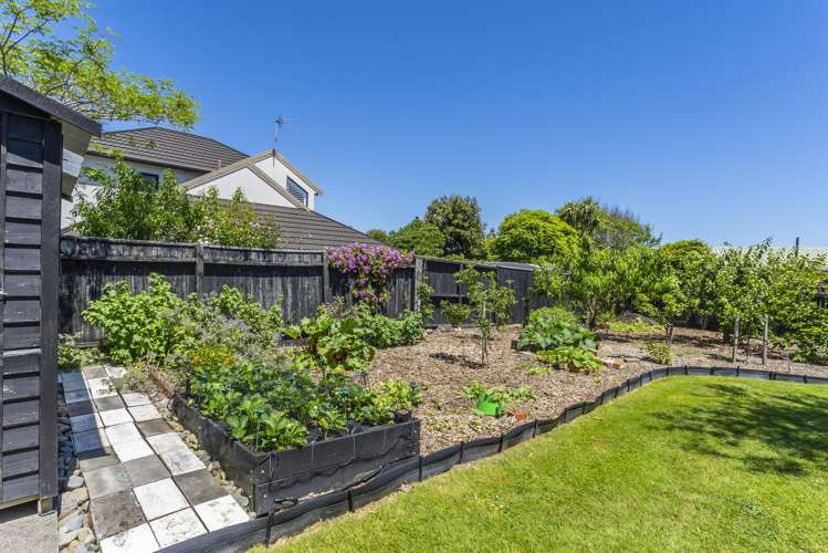 10 Winara Avenue Waikanae_2