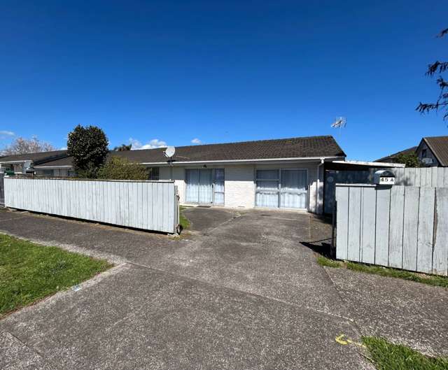 45A Fitzroy Street Papatoetoe_1