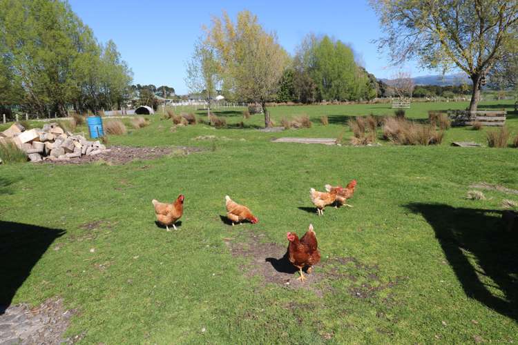 153 Chester Road Carterton_23