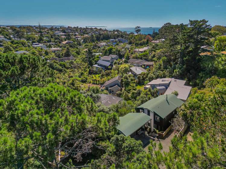 3 Tree Fern Trail Campbells Bay_24