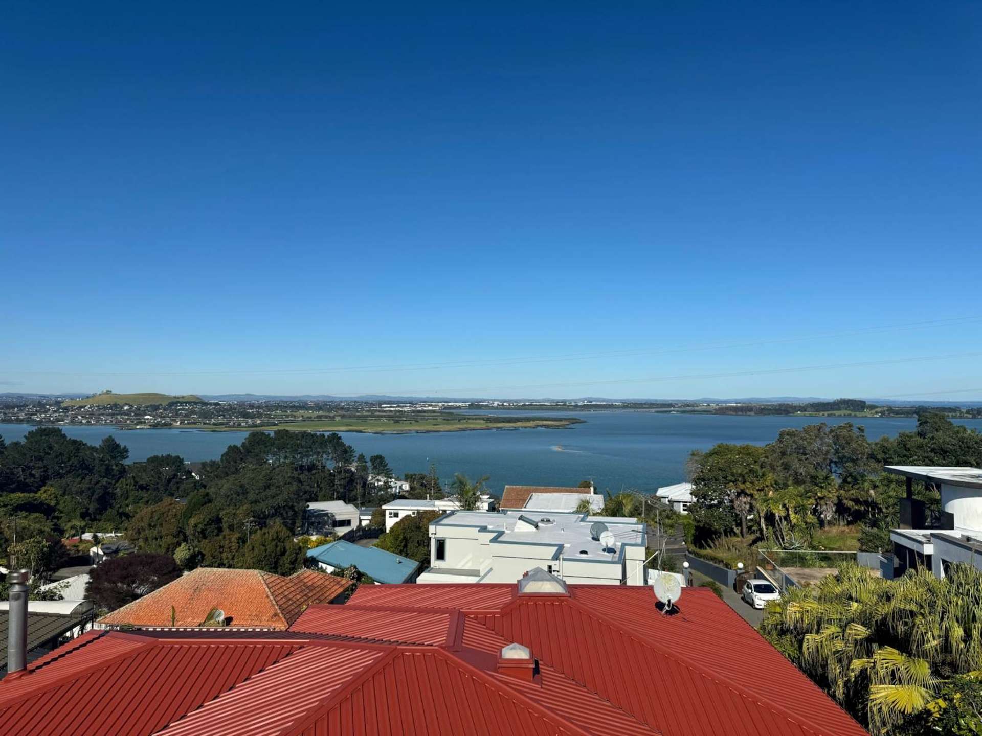 316A Hillsborough Road Hillsborough_0