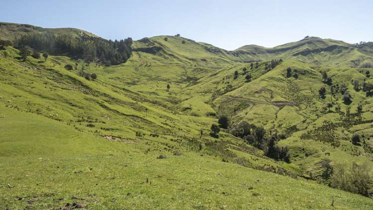 461 Admiral Station Road Gladstone_18