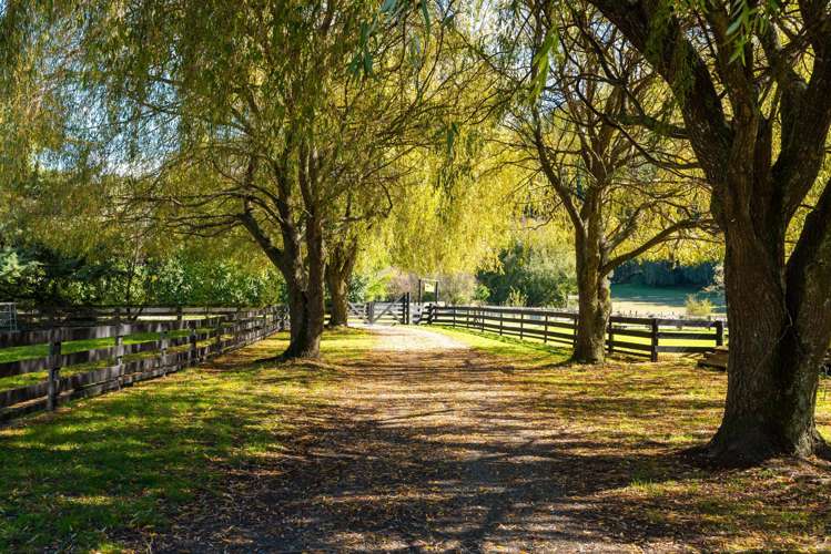 63 Gibsons Road Kaituna_3