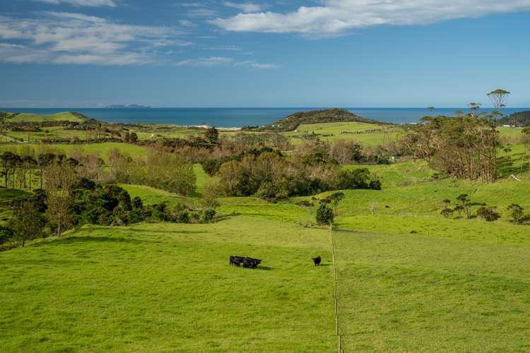 196b Ocean Beach Road Whangarei Heads_17