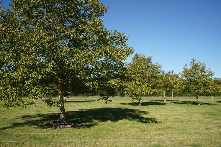 279 School Road West Eyreton_23