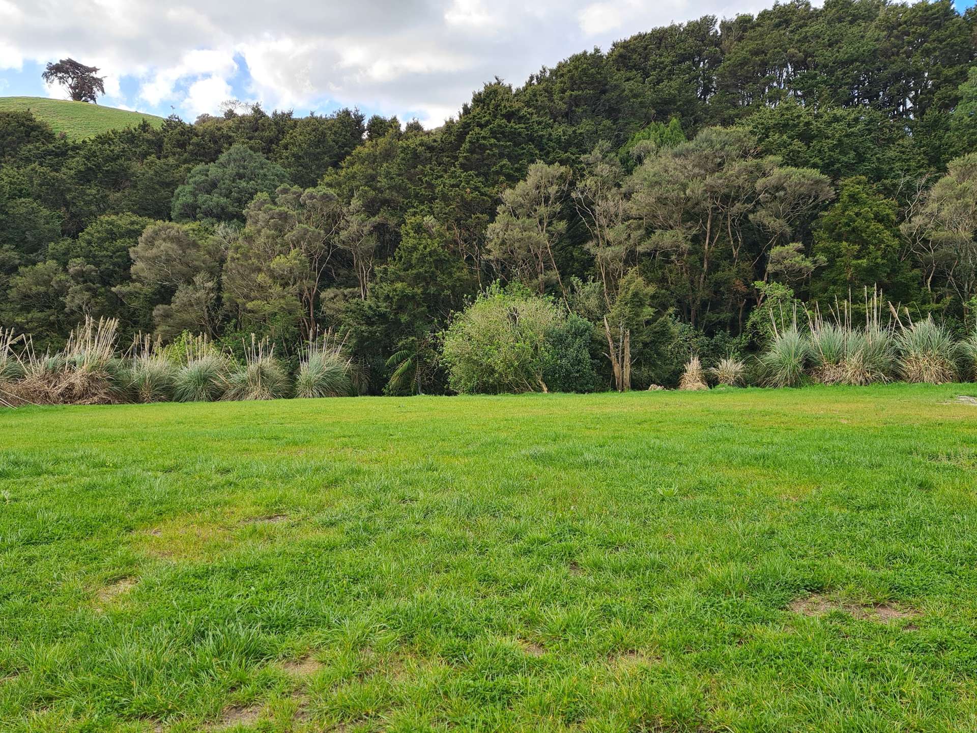 Lot Lot 2/675 Gorge Road Maungaturoto_0