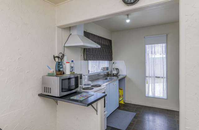 10 Adkin Avenue Levin_1