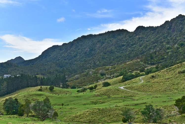 2127 Whangarei Heads Road Whangarei Heads_22