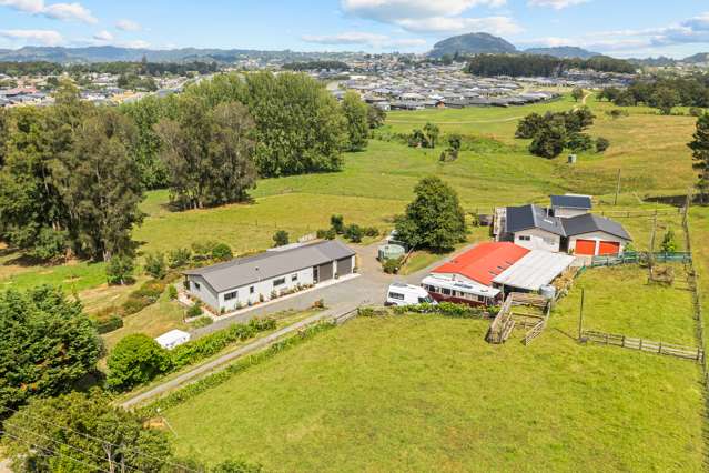 89 Vinegar Hill Road Kauri_2