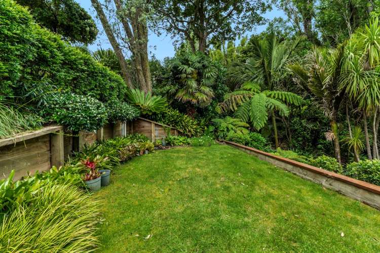 91B & 93A Edmund Street St Heliers_17