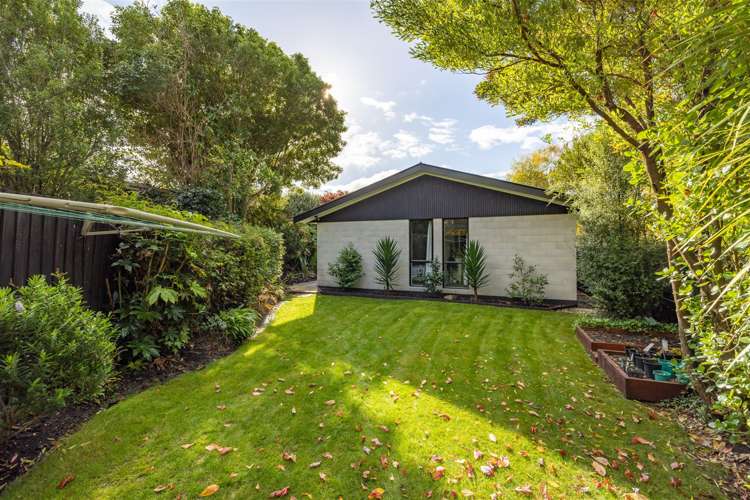 27 Gunns Crescent Cashmere_9