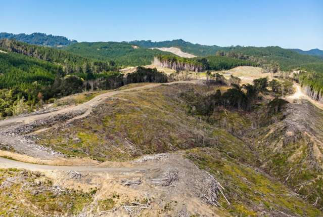 Lot 2 Kaiwhata Road Te Wharau_2