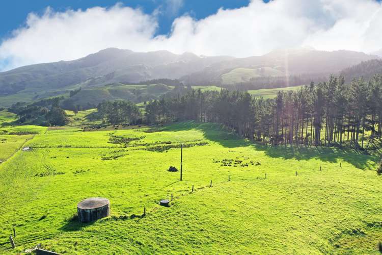 2288 Waihue Road Dargaville Surrounds_8