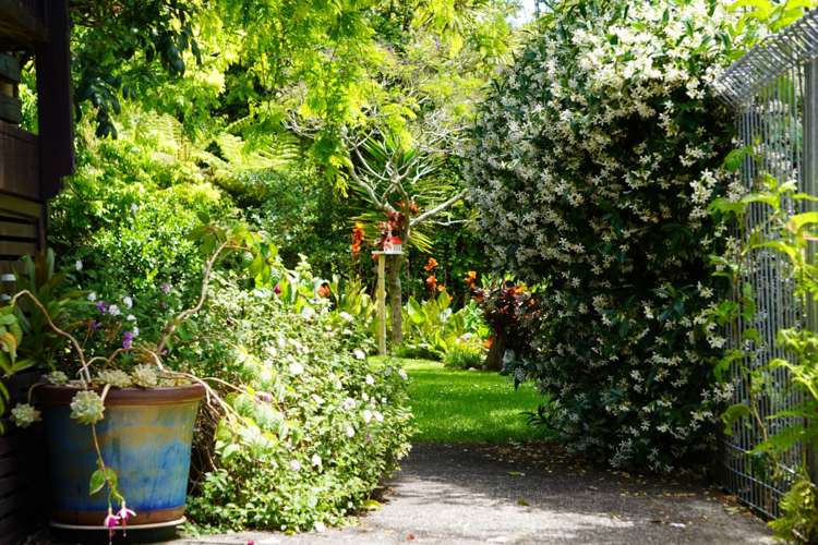 70A Tirimoana Road Te Atatu South_22