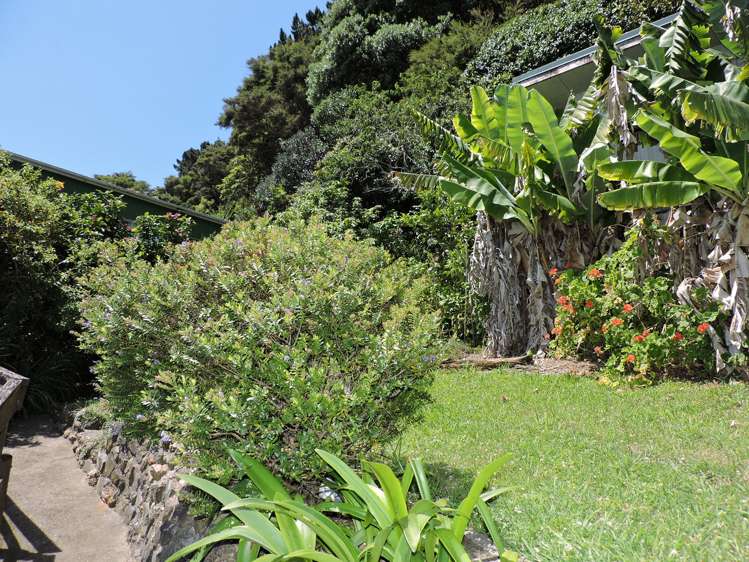 21 Creagh Street Tapu_22