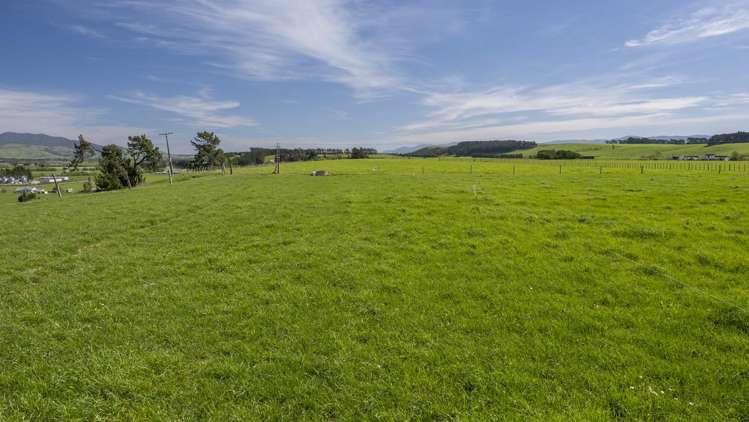 2556 State Highway 53 Martinborough_17