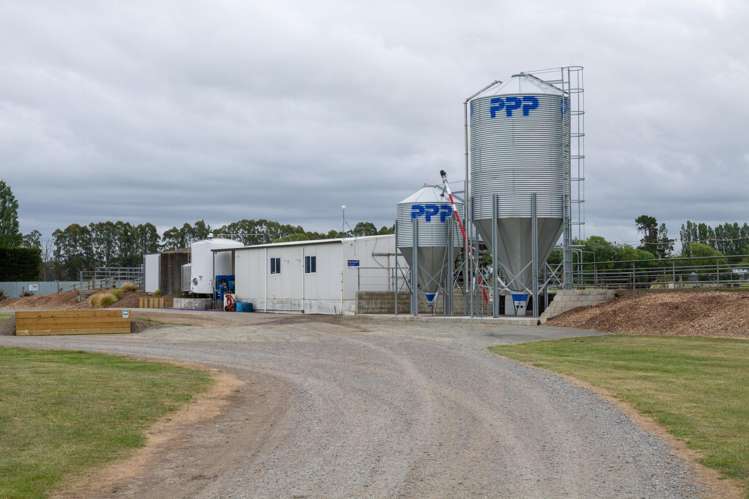 94 Brogdens Road Lowcliffe_23