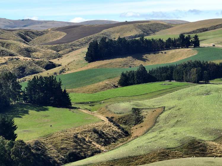 665-901 Tima Burn Road Teviot_23