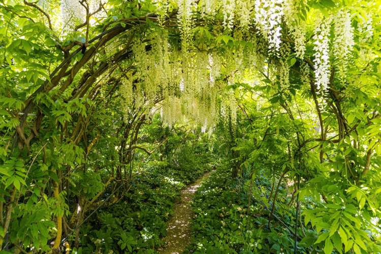 31 Inkerman Street Renwick_32