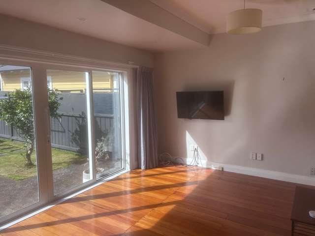 29 Rotherham Terrace Miramar_4