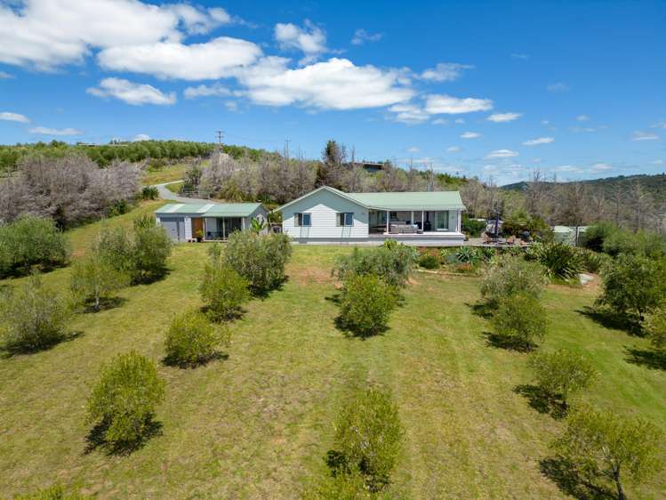 125A Frantoio Ridge Road Mangonui_32