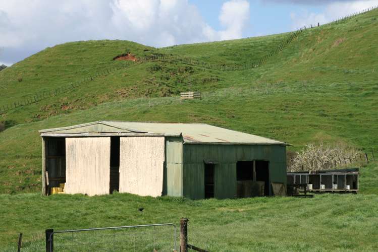 19 Rimuputa Road Tahora_11