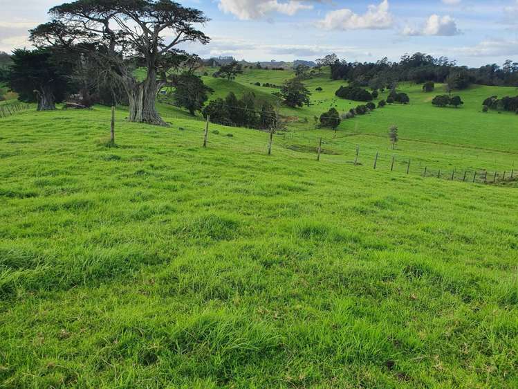 Curd Road Maungakaramea_5