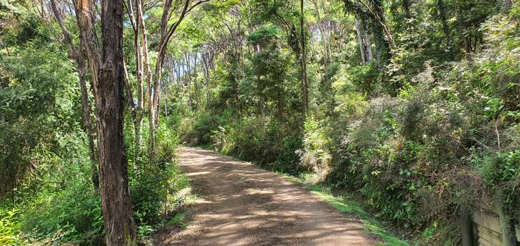 20 Waimangu Road Waiheke Island_37