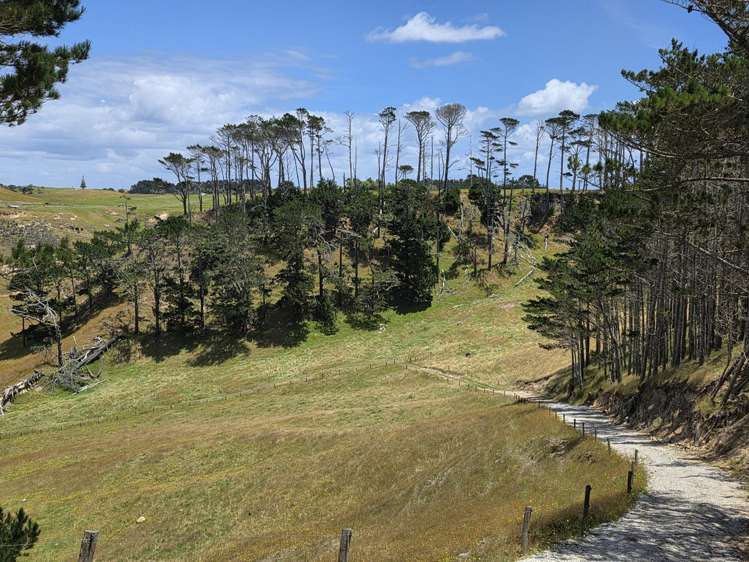 Mount Wesley Coast Road Dargaville_7