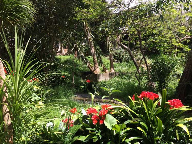 1/18 Brighton Road Parnell_14