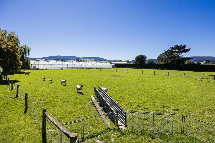 116 Wingatui Road Mosgiel_29